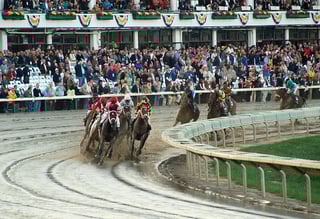 Picture of Breeders' Cup Classic