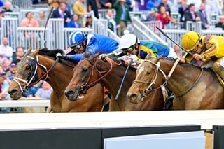 Picture of Breeders' Cup Distaff