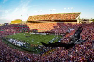 Picture of Jordan-Hare Stadium