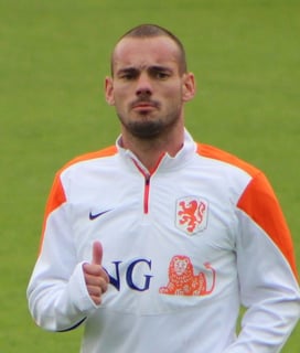 Picture of Wesley Sneijder