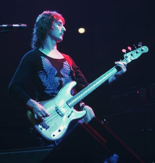 Picture of Denny Laine