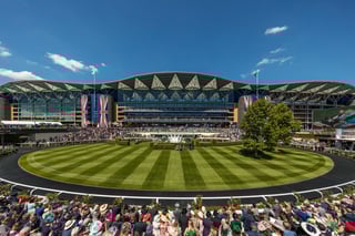 Picture of Ascot Racecourse