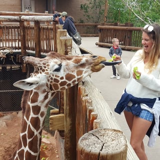Picture of Cheyenne Mountain Zoo