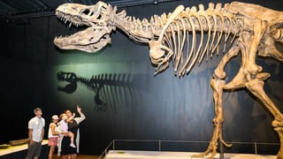 Picture of Australian Museum