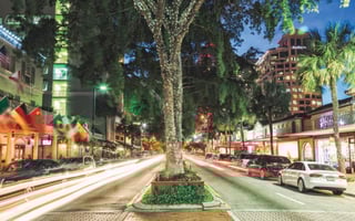 Picture of Las Olas Boulevard