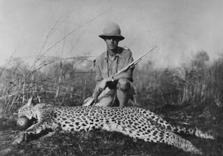 Picture of Big-game hunting