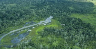 Picture of Odzala-Kokoua National Park