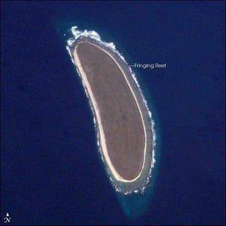 Picture of Howland Island