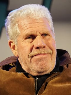 Picture of Ron Perlman