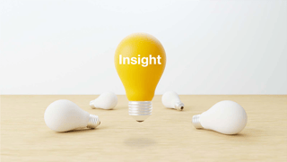 Picture of Insight