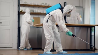 Picture of pest control