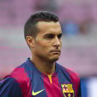Picture of Pedro