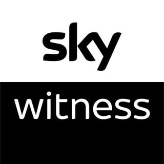 Picture of Sky Witness
