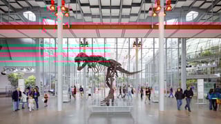 Picture of Academy of sciences