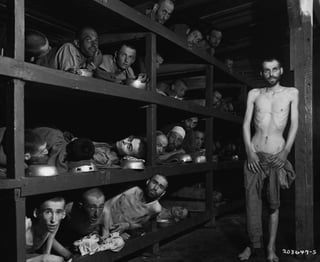 Picture of The Holocaust