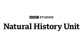 Picture of BBC Studios Natural History Unit