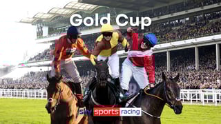 Picture of Cheltenham Gold Cup