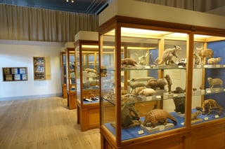 Picture of Natural history museum