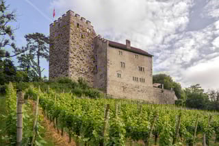 Picture of House of Habsburg
