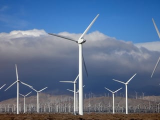 Picture of Wind