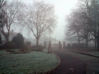 Picture of Downhills Park
