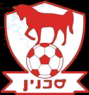 Picture of Bnei Sakhnin F.C.