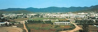 Picture of Rason