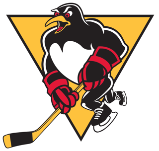 Picture of Wilkes-Barre/Scranton Penguins