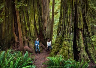 Picture of Endor