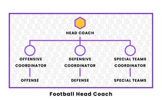 Picture of Defensive coordinator