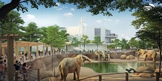 Picture of Zoo Atlanta
