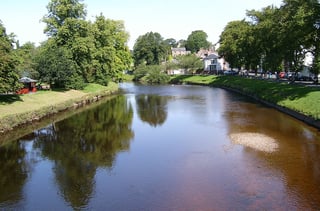 Picture of River Eden