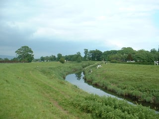 Picture of River Wyre