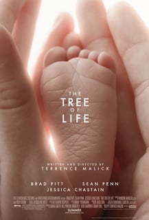 Picture of The Tree of Life