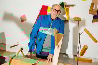 Picture of Joel Shapiro