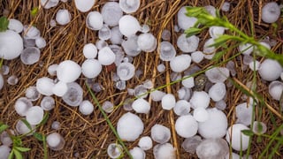 Picture of Hail