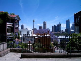 Picture of Potts Point