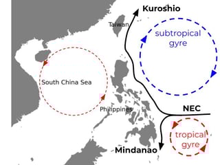 Picture of Kuroshio Current