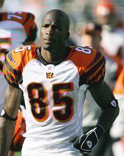 Picture of Chad Johnson