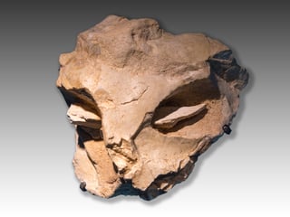 Picture of Mask of la Roche-Cotard