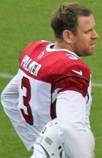 Picture of Carson Palmer
