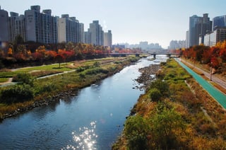 Picture of Seongnam