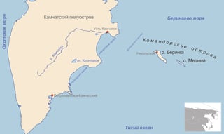 Picture of Commander Islands