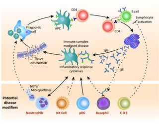 Picture of Immunology