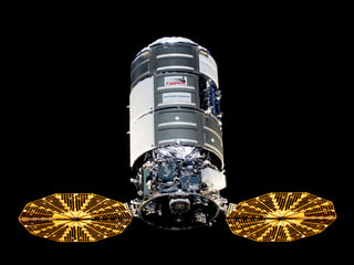 Picture of Cygnus