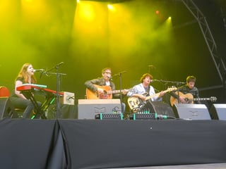 Picture of The Lightning Seeds
