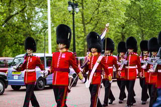 Picture of King's Guard