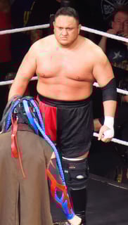 Picture of Samoa Joe
