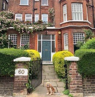 Picture of West Hampstead