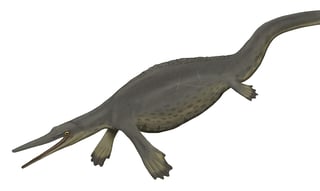 Picture of Hupehsuchus